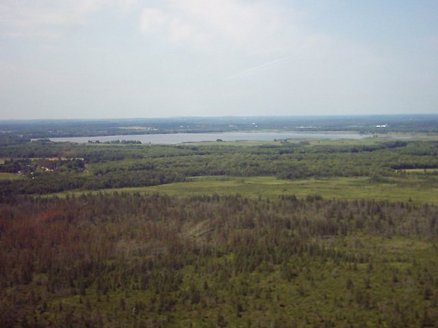 photo27.jpg